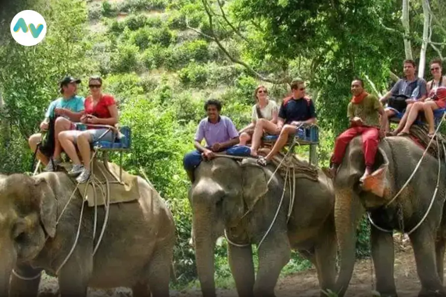 Kerala's 6 Nights Group Adventure: Backwaters, Elephant Rides, and Nature Trails.